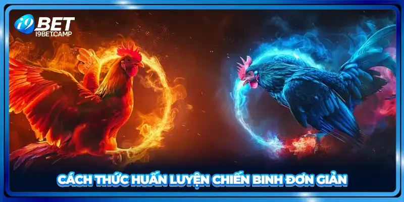 Cách thức huấn luyện chiến binh đơn giản