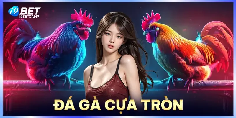 Đá Gà Cựa Tròn