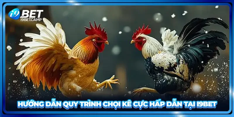 Hướng dẫn quy trình chọi kê cực hấp dẫn tại I9BET