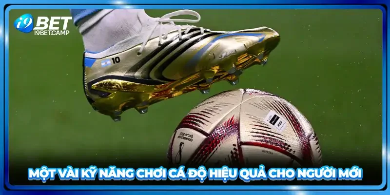 Một vài kỹ năng chơi cá độ hiệu quả cho người mới