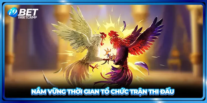 Nắm vững thời gian tổ chức trận thi đấu