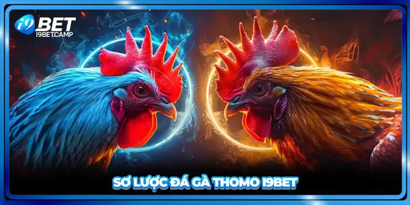 Sơ lược đá gà Thomo I9BET