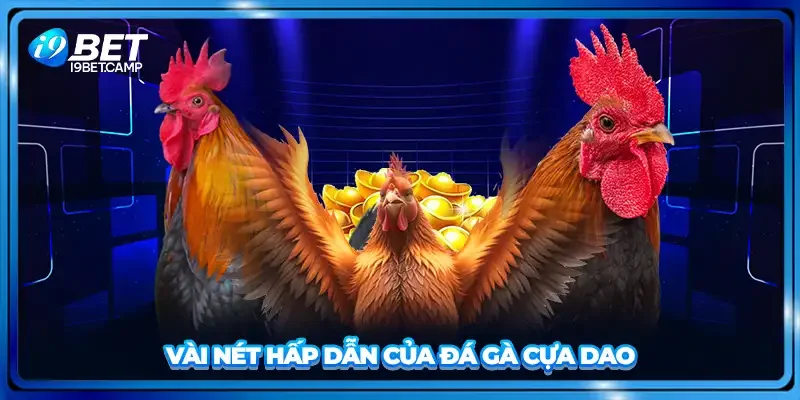 Vài nét hấp dẫn của đá gà cựa dao